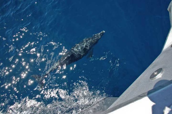 FPB64 Iron Lady Owners Trials 1 105