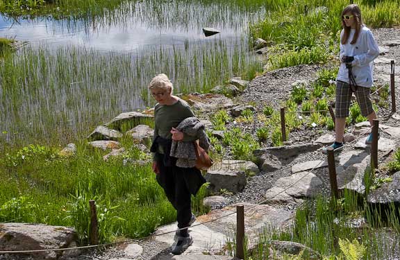 Tromso-Norway-Botanical-Gardens-36