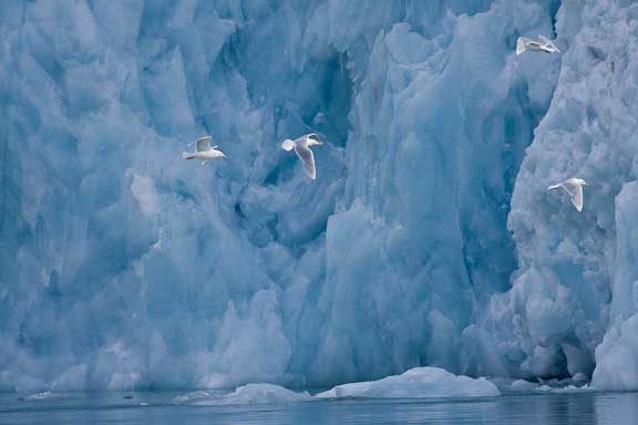 Magdelena-Svalbard-150