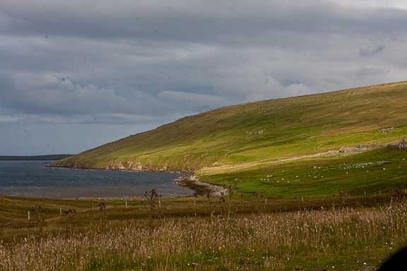 Shetland-Islands-266