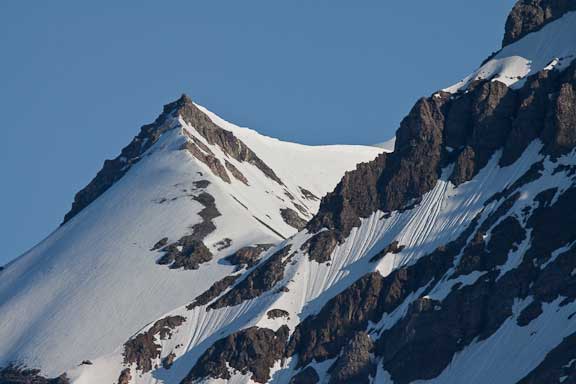 Trygghamna-Svalbard-206