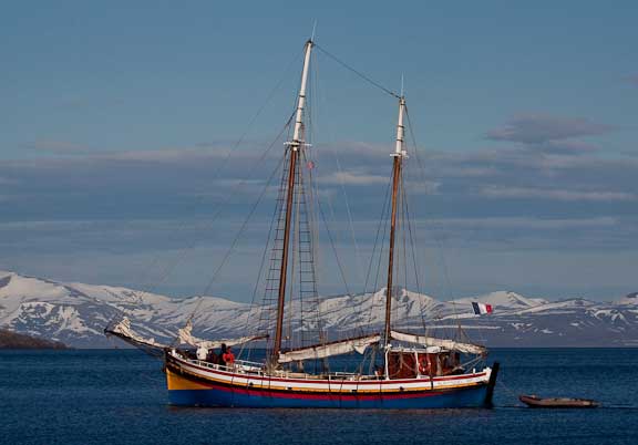 Trygghamna-Svalbard-216