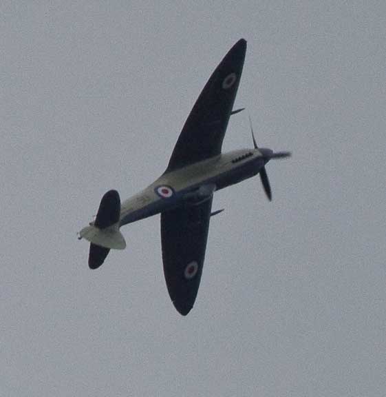 Dart-River-Spitfire-102