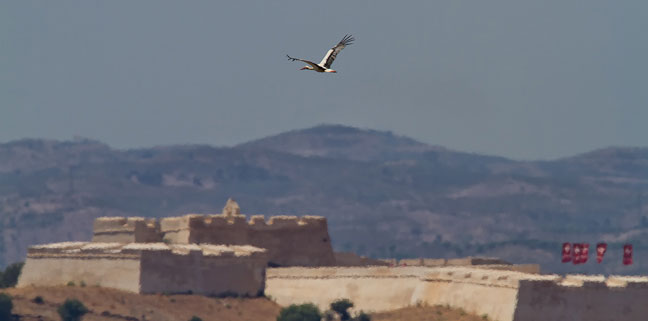 Guadiana-River-Spain-101.jpg