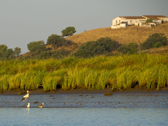 Guadiana-River-Spain-102.jpg