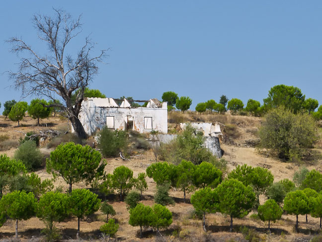 Guadiana-River-Spain-105.jpg