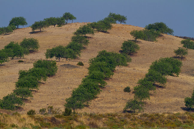 Guadiana-River-Spain-127.jpg