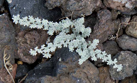 Lanzarote-2-108.jpg