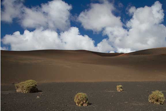 Lanzarote-Tour-2-101.jpg