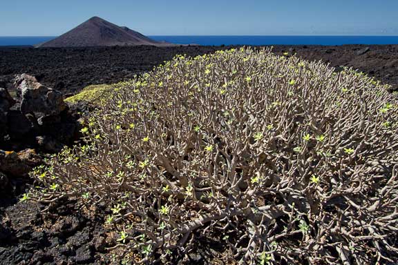 Lanzarote-Tour-2-104.jpg