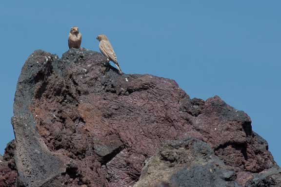 Lanzarote-Tour-2-105.jpg