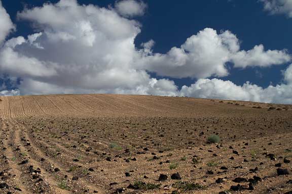 Lanzarote-Tour-2-108.jpg