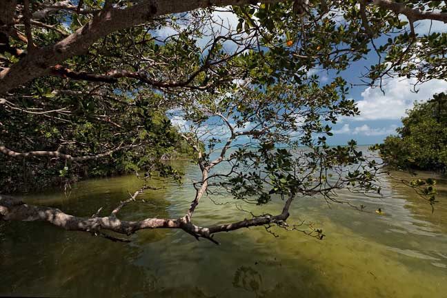 Florida-Keys---In-Our-Wake-107.jpg