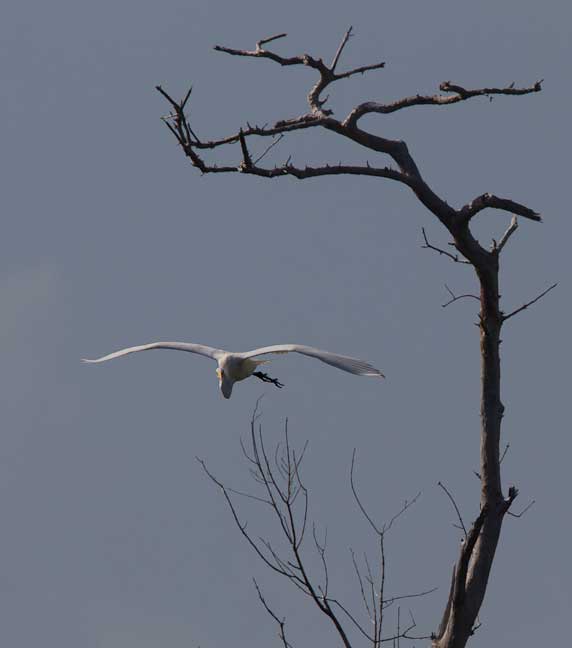 Florida-Keys---In-Our-Wake-108.jpg