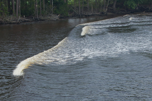 Alligator-River-109.jpg