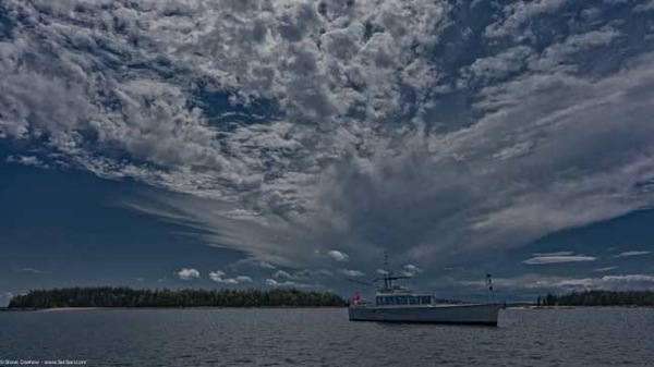 Brooklin MAine 100