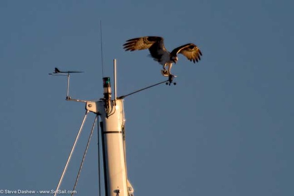 Penobscot Bay2 103