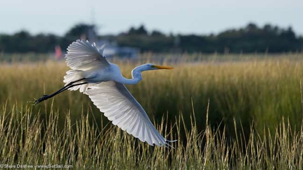 Barnegat Bay 114