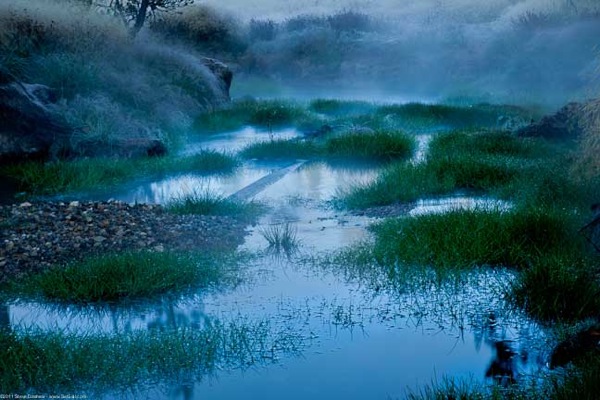 Estes Jackson Yellowstone 202