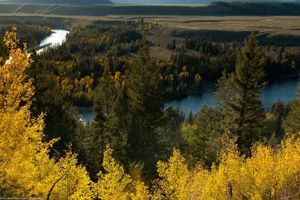 Estes Jackson Yellowstone 205