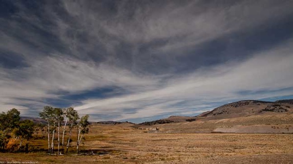 Estes Jackson Yellowstone 214