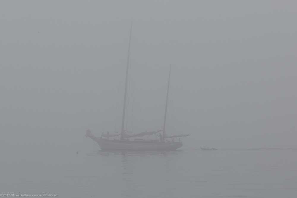 Wind Horse Fly Bridge In Foggy Maine 109