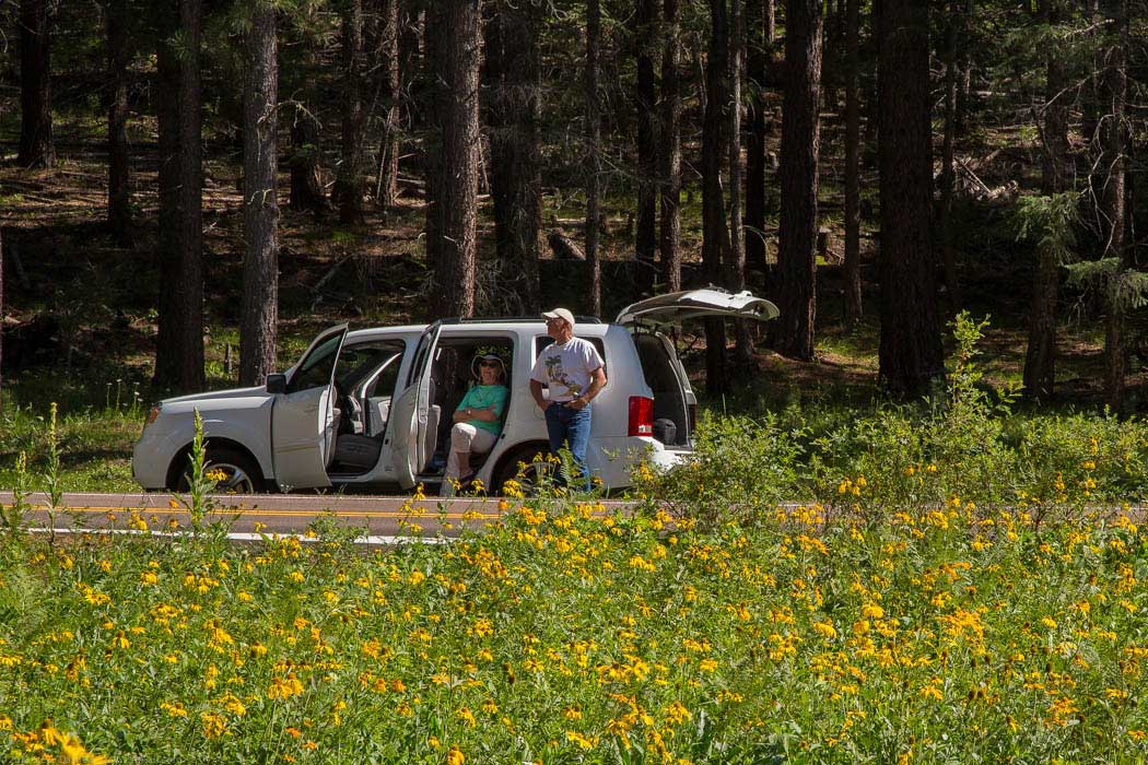 Pinetop Cruising in the clouds 107 of 18