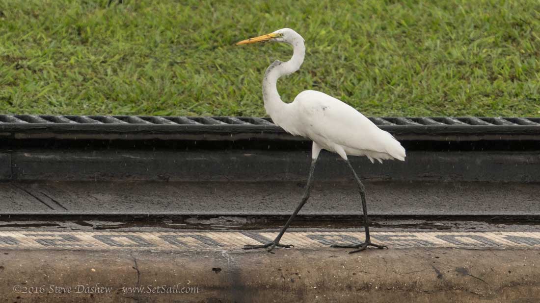 FPB 781 Cochise Panama Canal 104